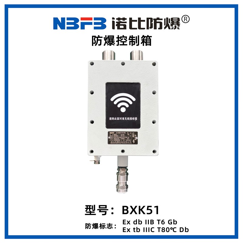 BXK51防爆控制箱（特殊版）