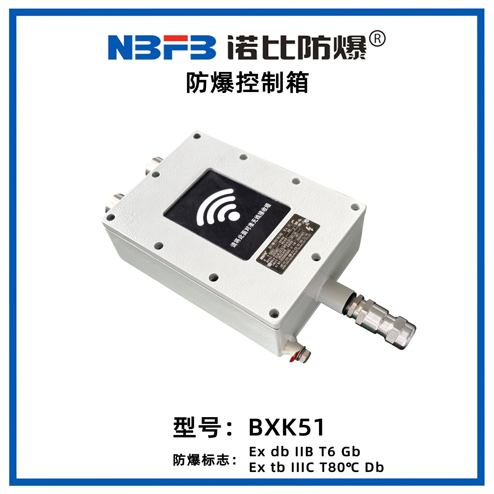 BXK51防爆控制箱（特殊版）